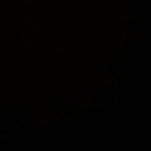 Meet your Posher, Alexia